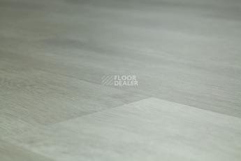 Tarkett Funky House CRUZE фото 11 | FLOORDEALER